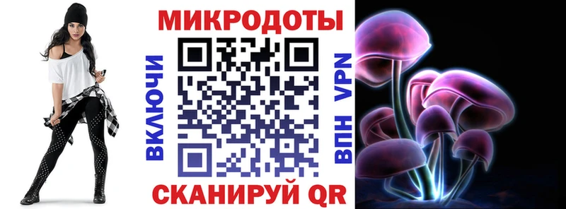 наркотики  Балашов  Псилоцибиновые грибы Cubensis 